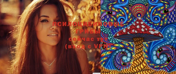 дмт Россошь
