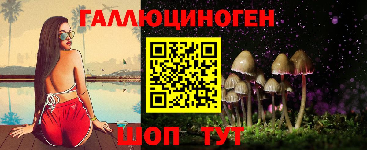 Галлюциногенные грибы прущие грибы  Вход с VPN  Солнечногорск 