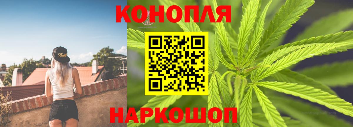 Канабис планчик Солнечногорск